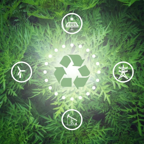 Sustainability Support & Advice